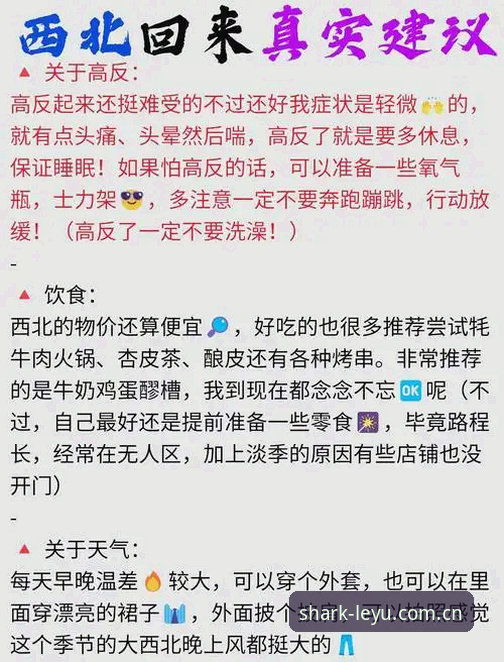 乐鱼APP网页版安全吗 揭秘乐鱼APP网页版安全性背后的真相:用户实测数据与下载避坑指南